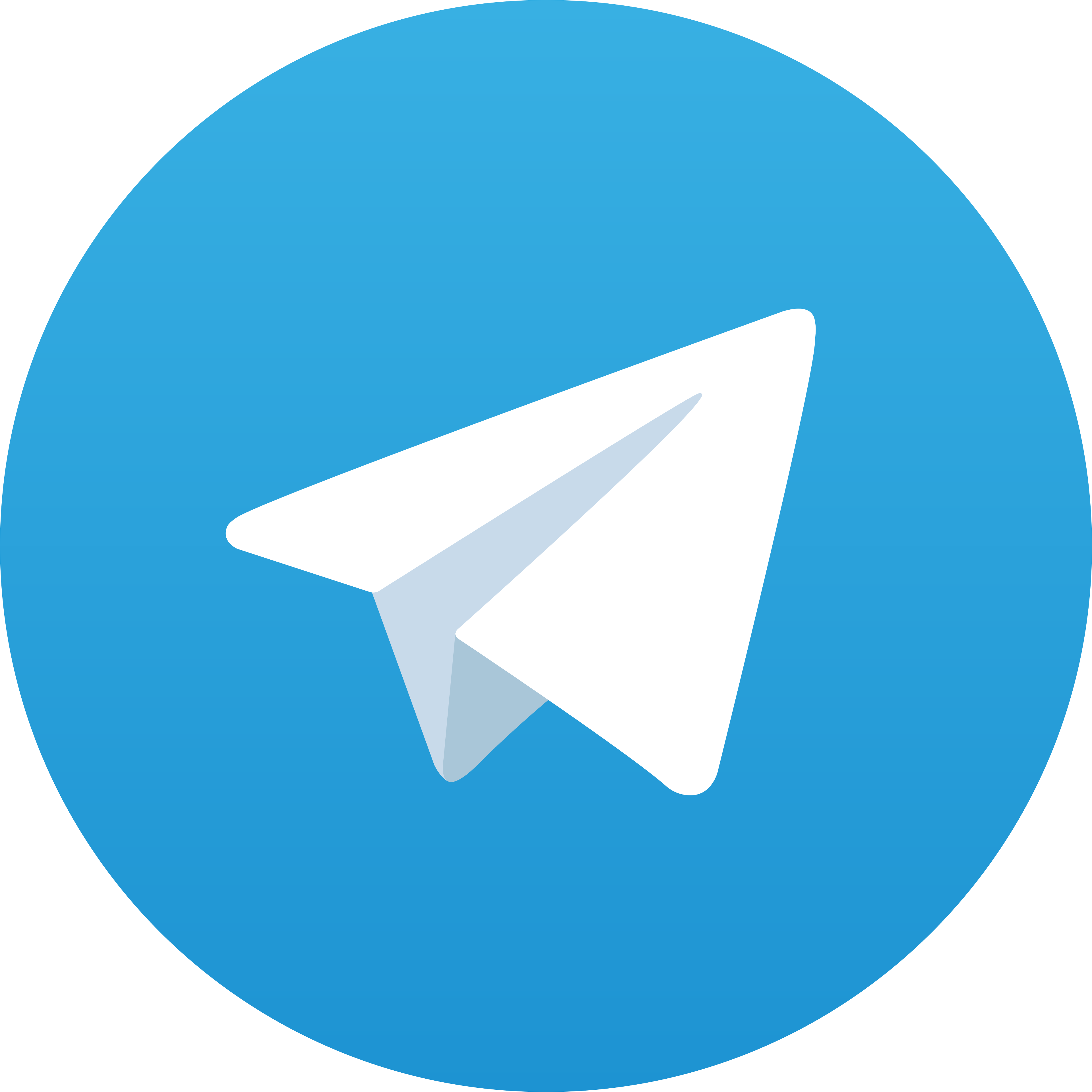 Telegram Panin368